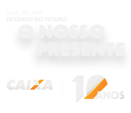 Uma década fazendo do futuro o nosso presente. CAIXA Seguridade. 10 anos.